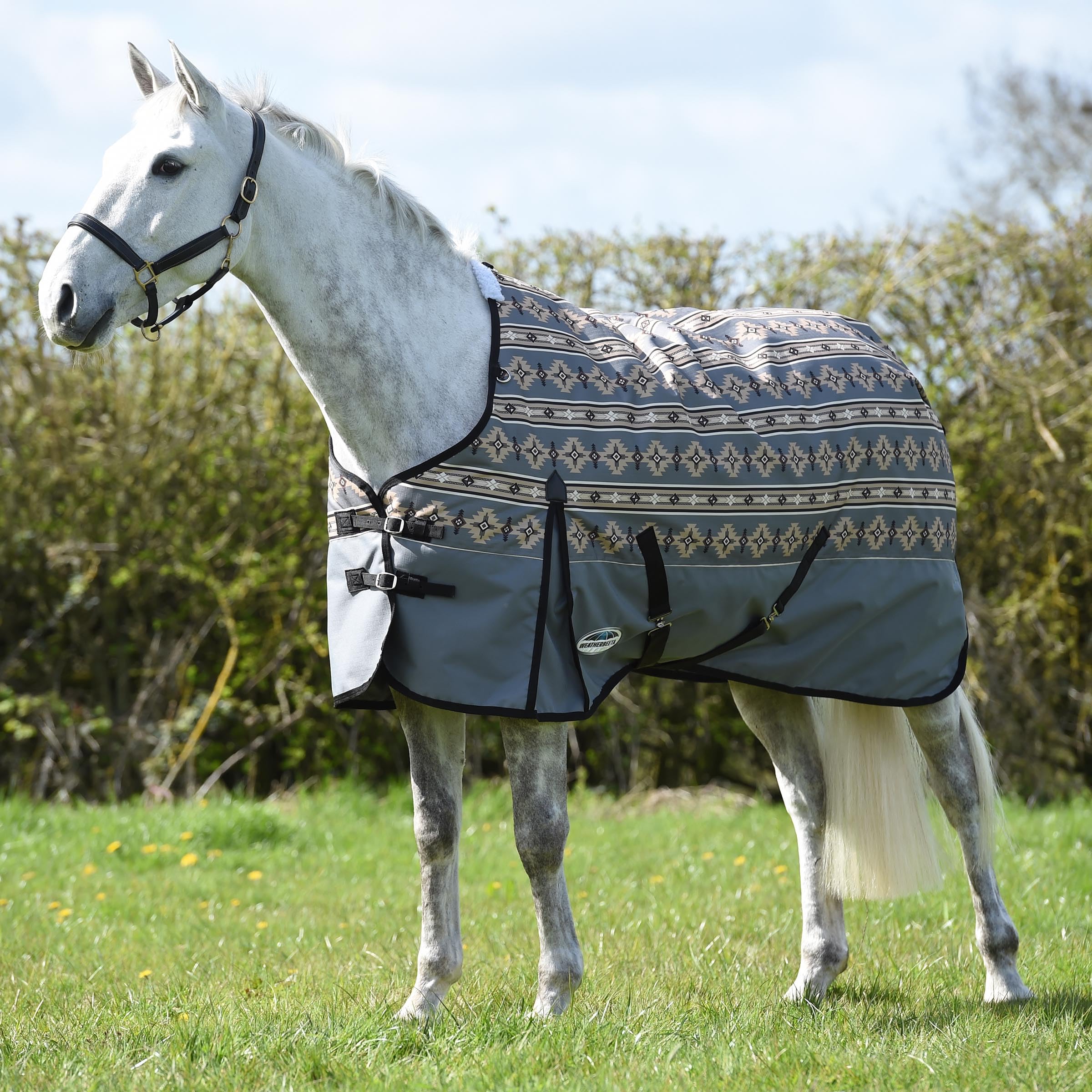 WeatherBeeta ComFiTec Essential rug front view highlights durable fabric for everyday turnout.