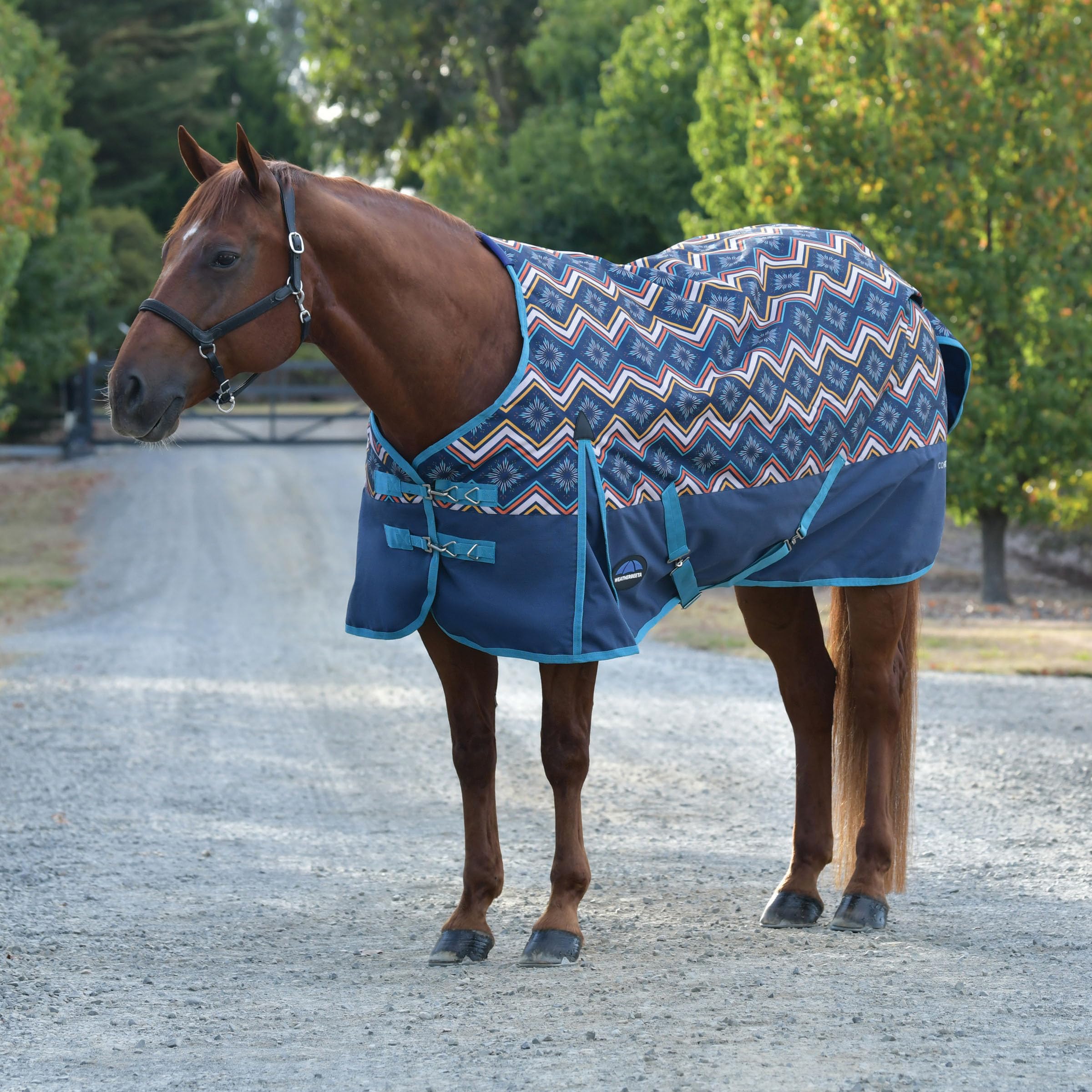 WeatherBeeta ComFiTec Essential Turnout 220g Sedona Star Print back view with leg straps and secure fit