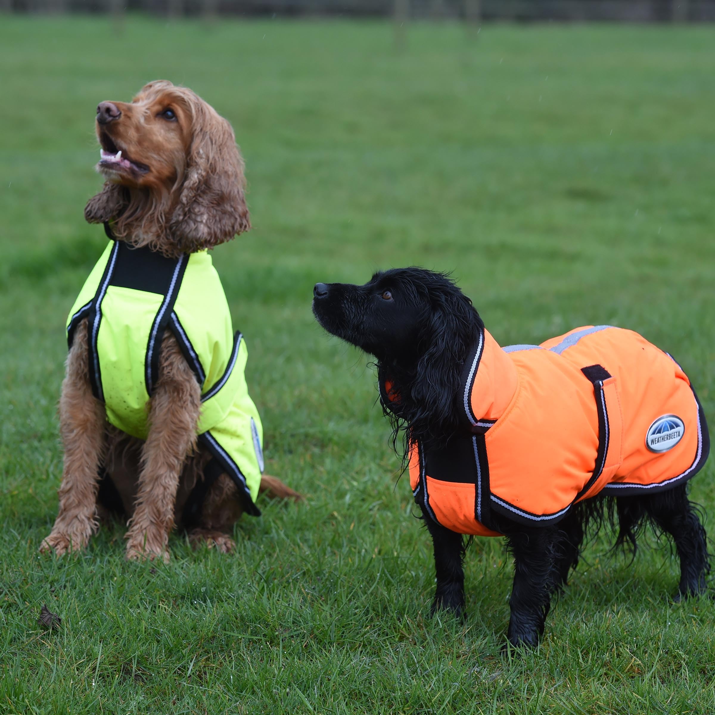 WeatherBeeta ComFiTec Reflective Parka collar adds extra neck warmth