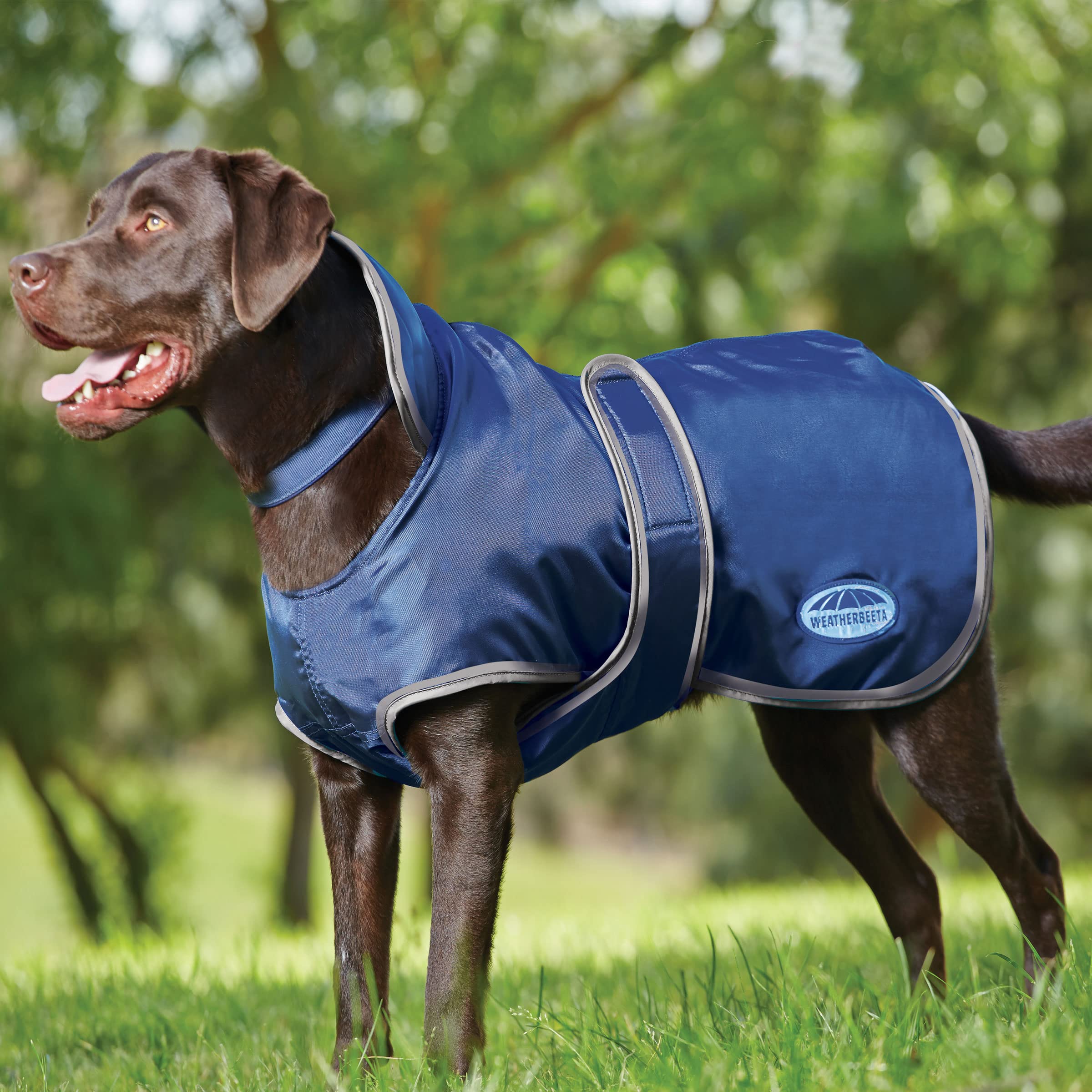 WeatherBeeta WindBreaker boa fleece lining adds cozy warmth during cool, windy strolls.