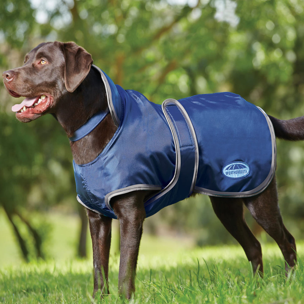 WeatherBeeta WindBreaker boa fleece lining adds cozy warmth during cool, windy strolls.