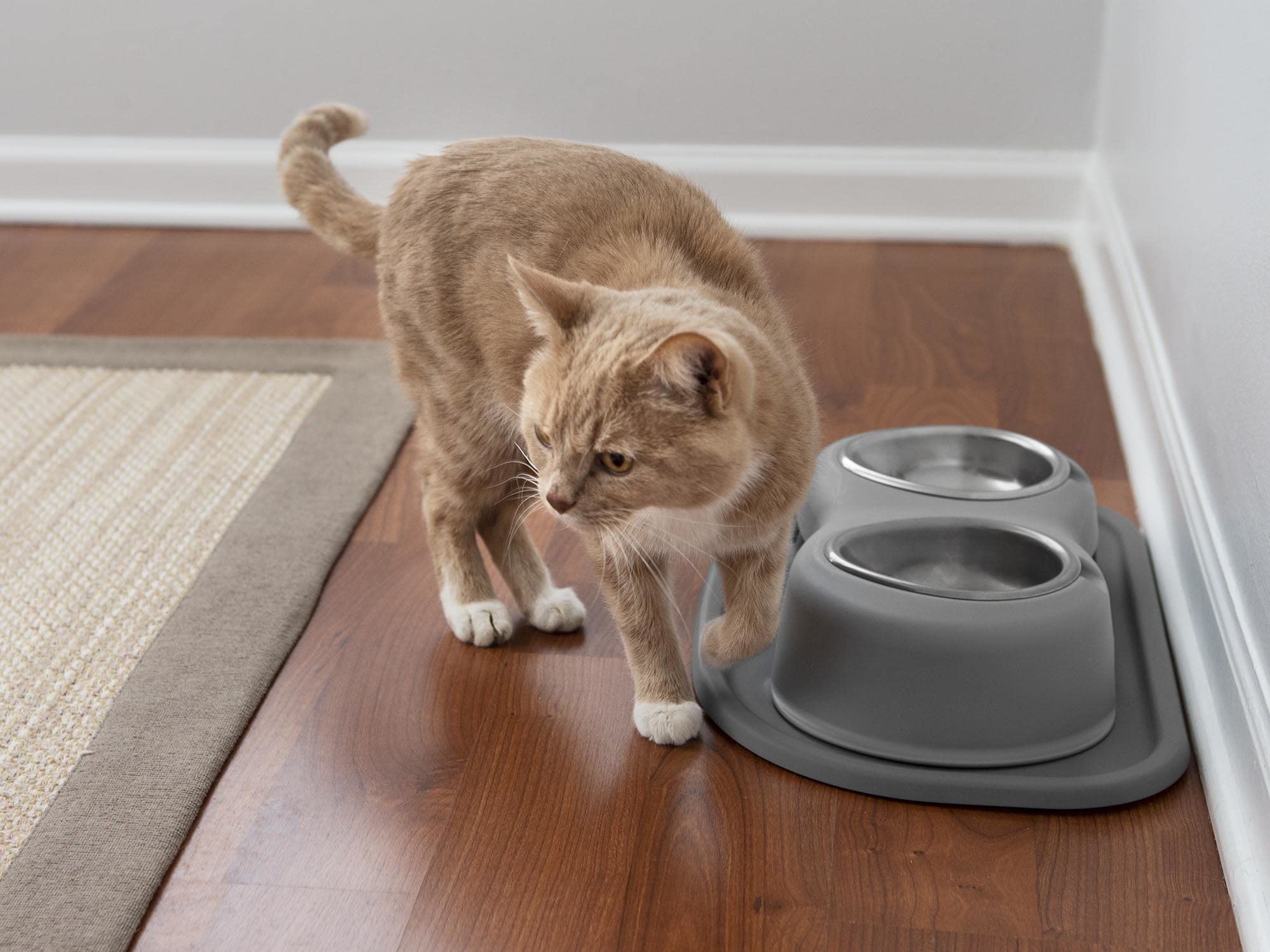 WeatherTech elevated 16 oz bowls close-up showing capacity.