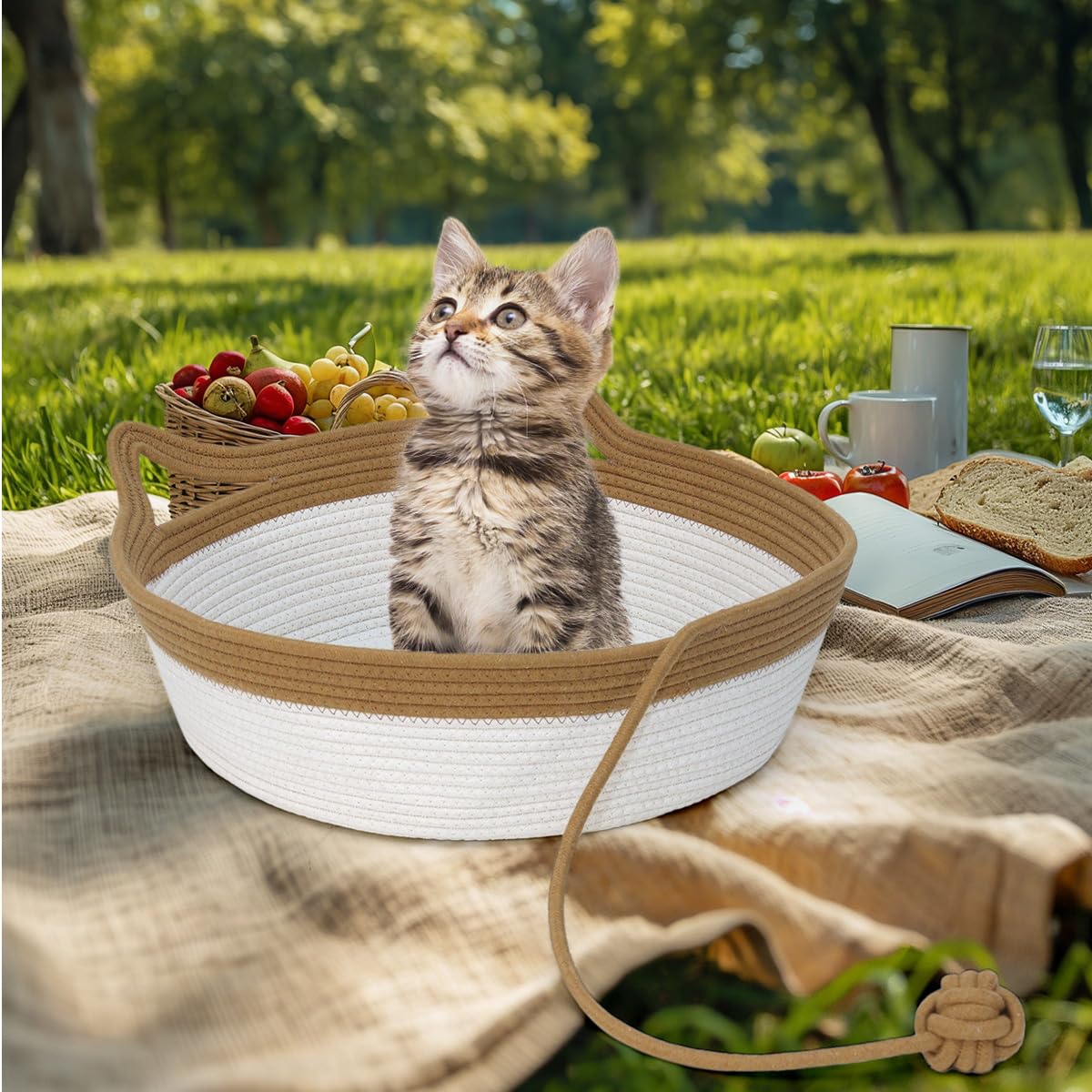 WEAVELYRICS folded cat bed ships flat and can be reshaped with steam