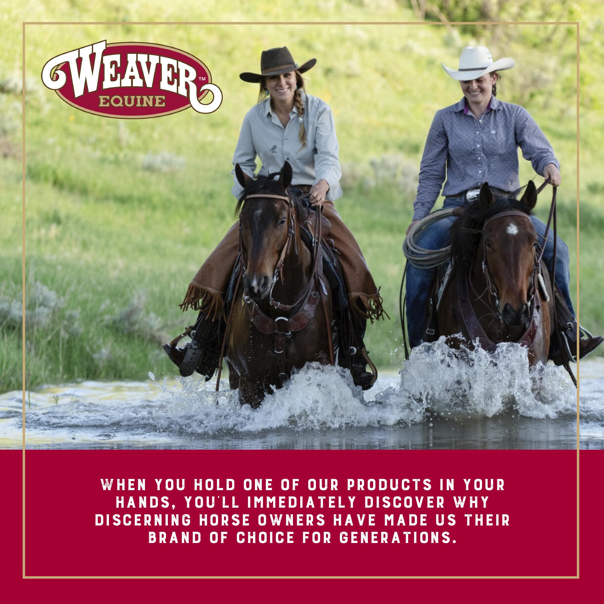 Weaver Leather sweat scraper and coarse curry duo speeding dirt and sweat removal.