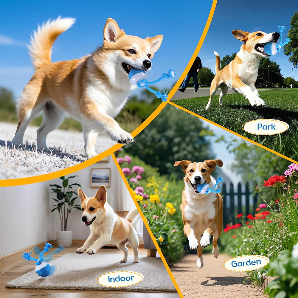 Webahow Chase Buddy durable shell stands up to chewers for long-lasting indoor fun