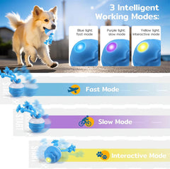 Webahow Chase Buddy rope-attachment boosts chase and tug excitement for dogs
