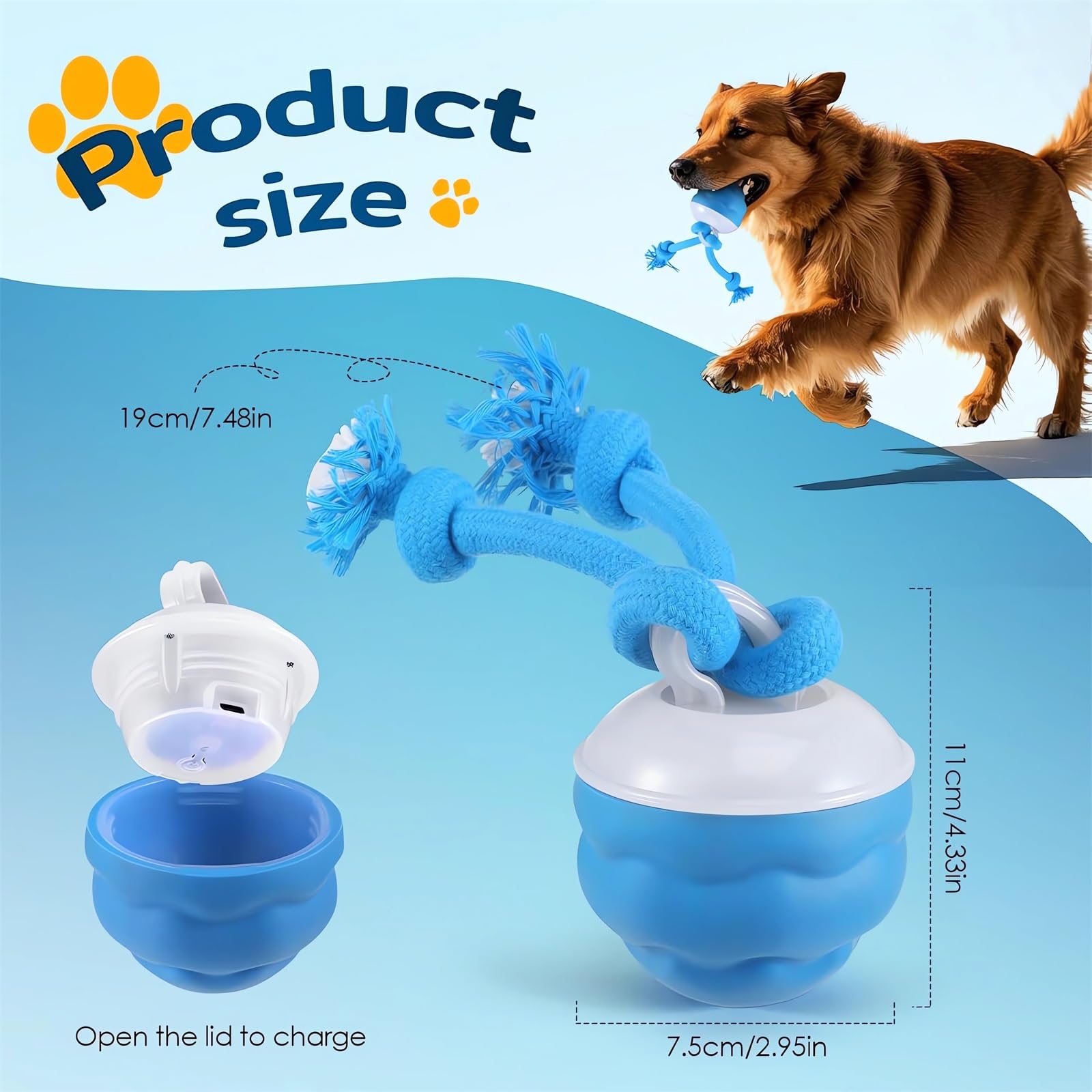 Webahow Chase Buddy small-to-medium dogs gift supports interactive games and reduces boredom