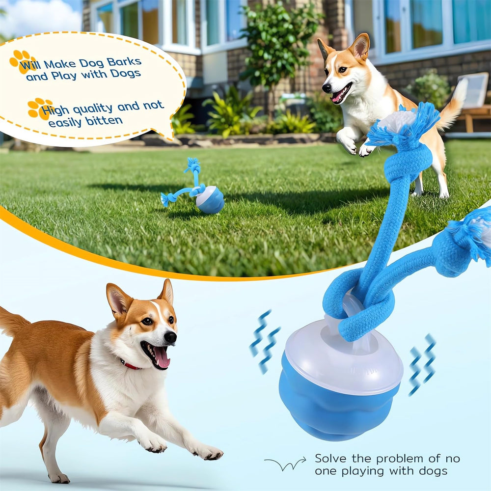 Webahow Chase Buddy USB-C rechargeable design keeps dogs entertained without frequent battery changes