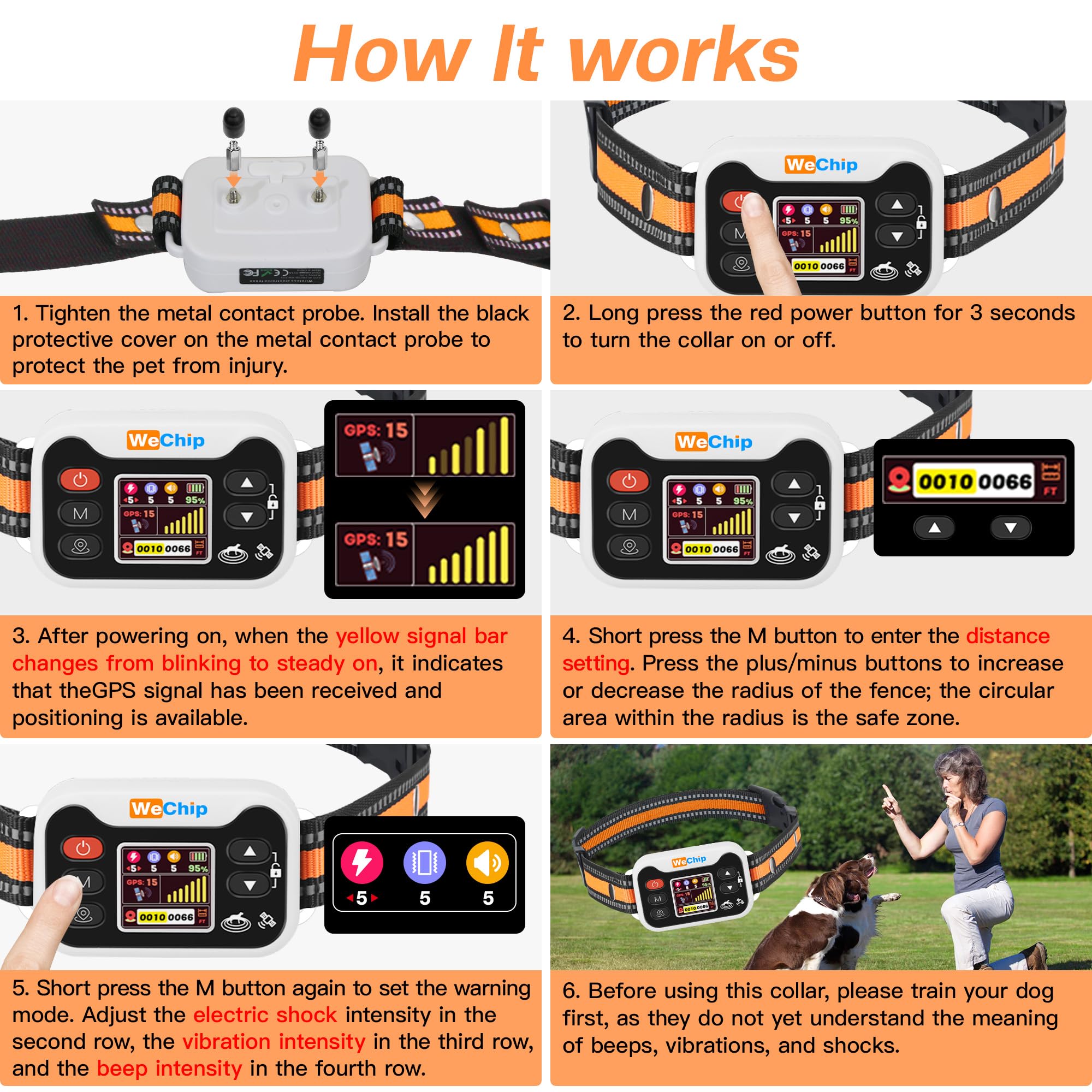 WeChip GPS dog collar in use on a sunny hike, signaling freedom and safety.