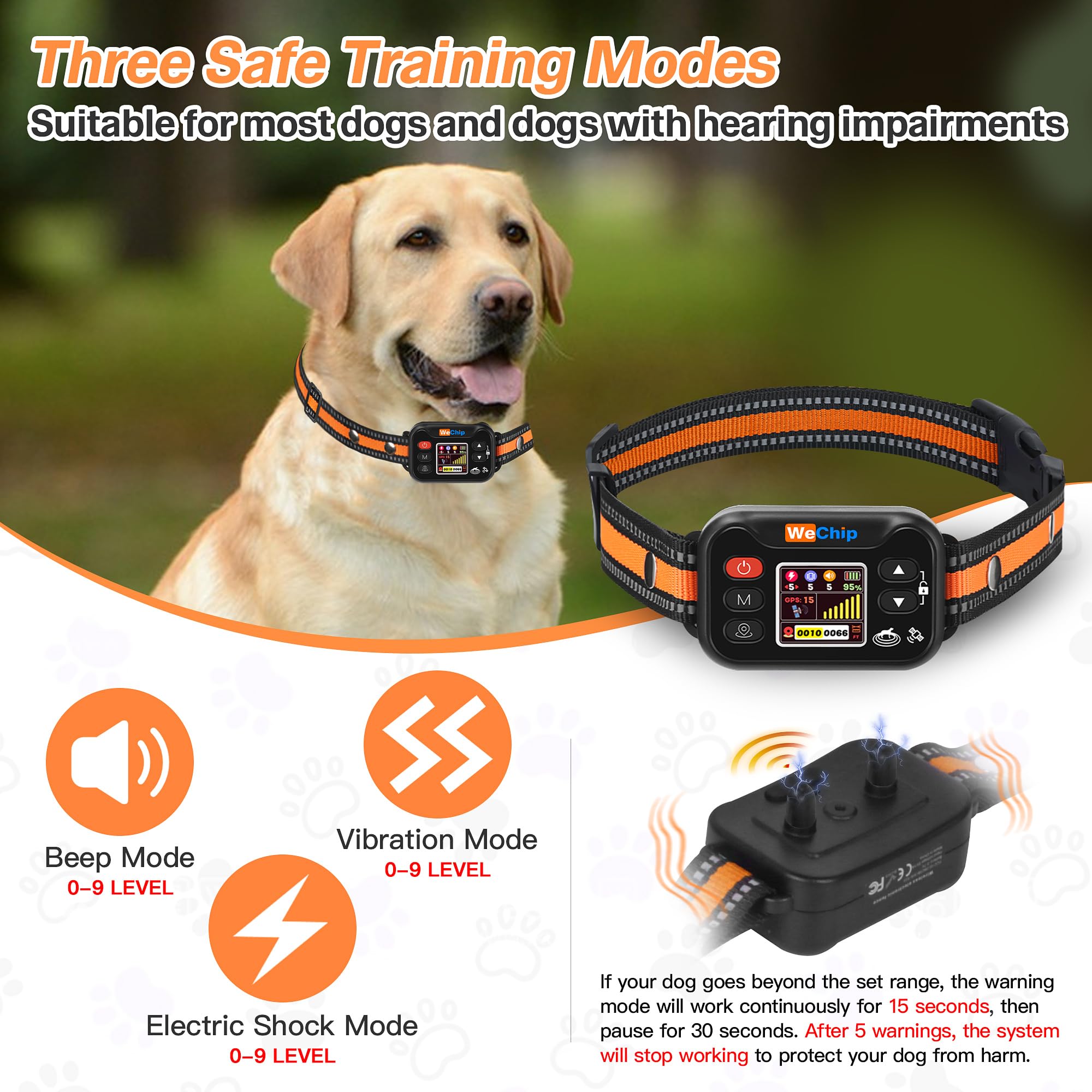 WeChip waterproof dog collar ready for rain and splashes during play.
