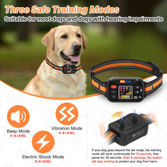 WeChip waterproof dog collar ready for rain and splashes during play.