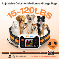 WeChip wireless dog fence system in open-area setup for flexible boundary control.