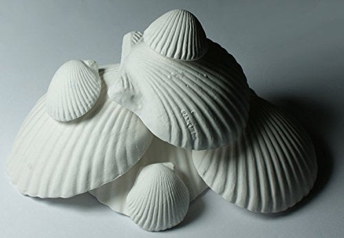 Weco Wonder Shell 30-shell set ready for use in home water care routines