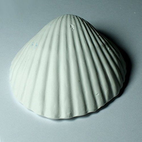 Weco Wonder Shell in water shows chlorine removal for clearer water
