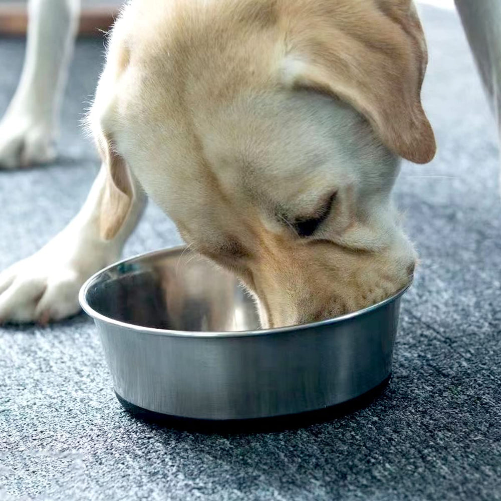 WEDAWN BPA-free non-toxic bowls promote safe feeding for pets
