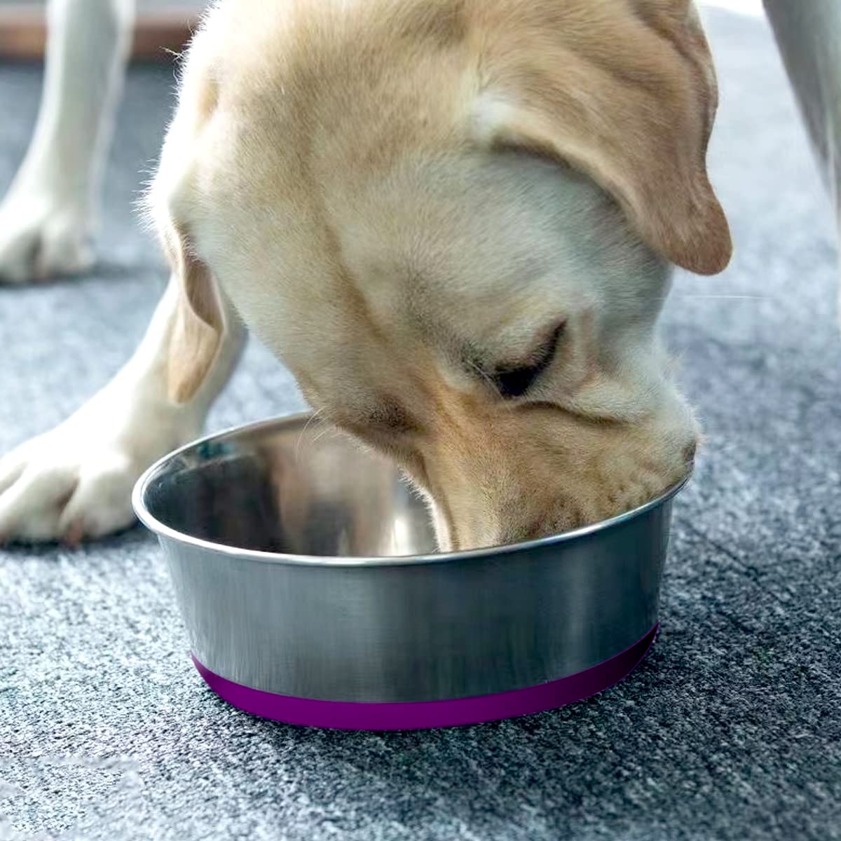 WEDAWN durable stainless steel bowls built to last years