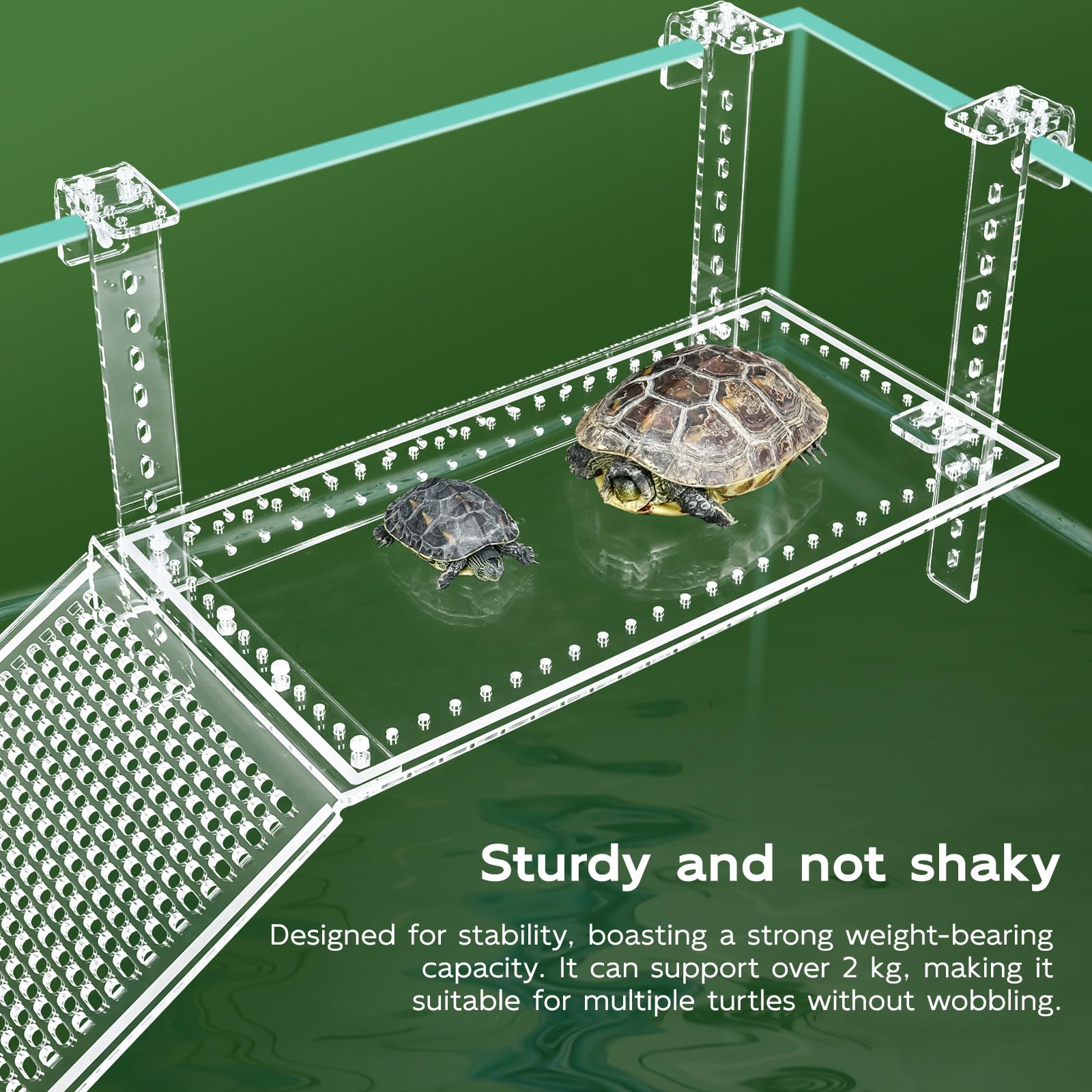 Wedoelsim Turtle Dock transparent acrylic showcases clear habitat visibility.