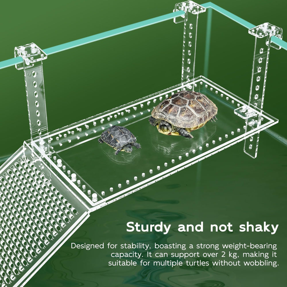 Wedoelsim Turtle Dock transparent acrylic showcases clear habitat visibility.