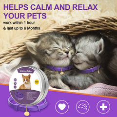 Weewooday calming collar pendant with paw pattern for style