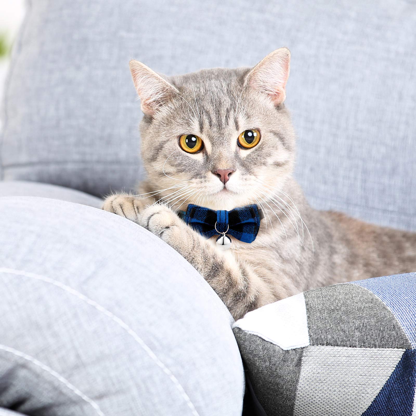 Weewooday plaid kitten collar close-up, reinforced stitching for durability during play.