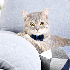 Weewooday plaid kitten collar close-up, reinforced stitching for durability during play.