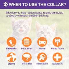 Weewooday cat calming collar displayed for travel readiness