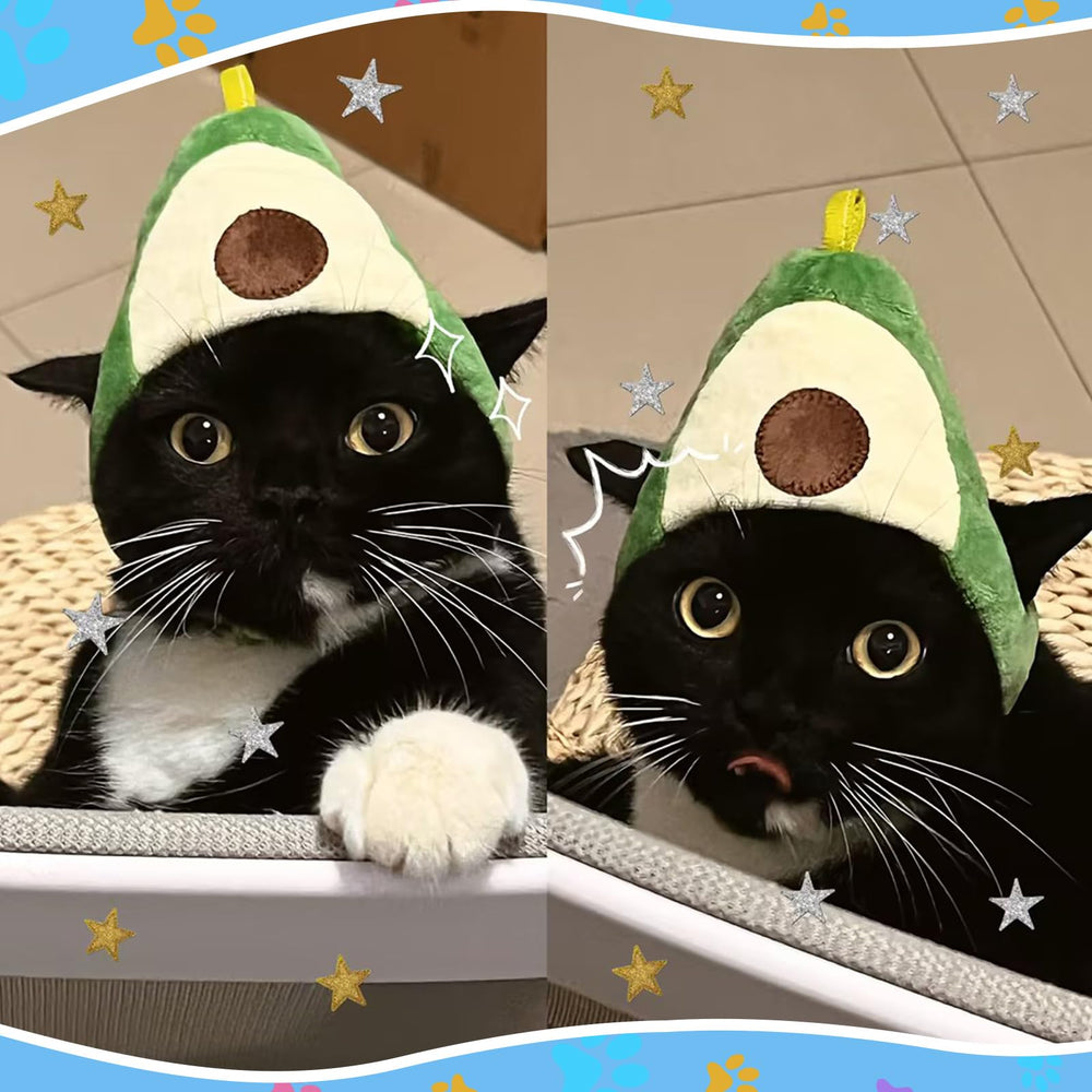 Weewooday frog-style cat hat creates funny character looks and adjustable fit.