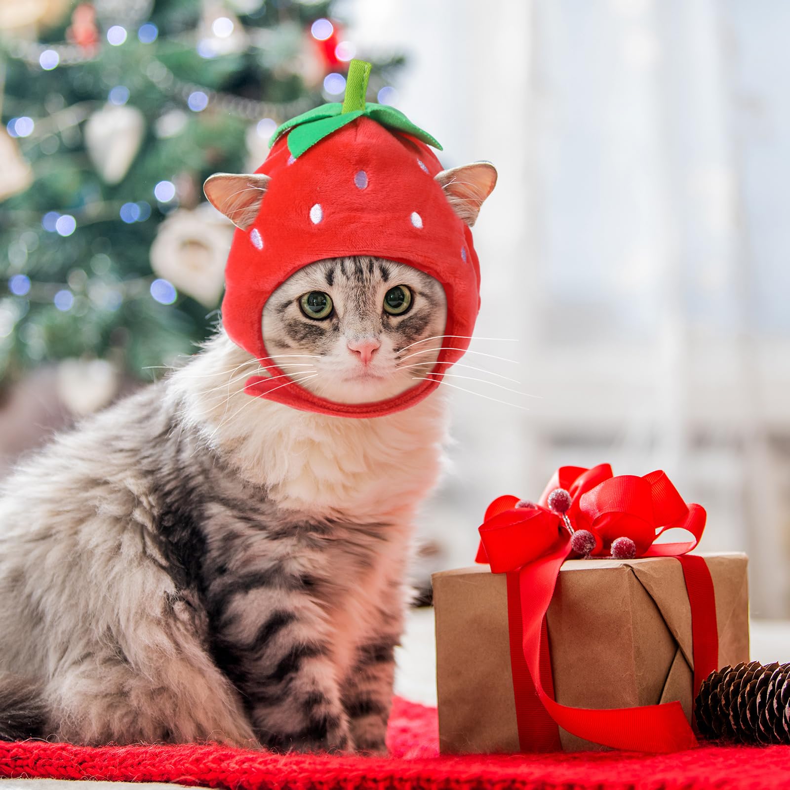 Weewooday cat hat packaging-set highlights the convenient five-piece cosplay collection.