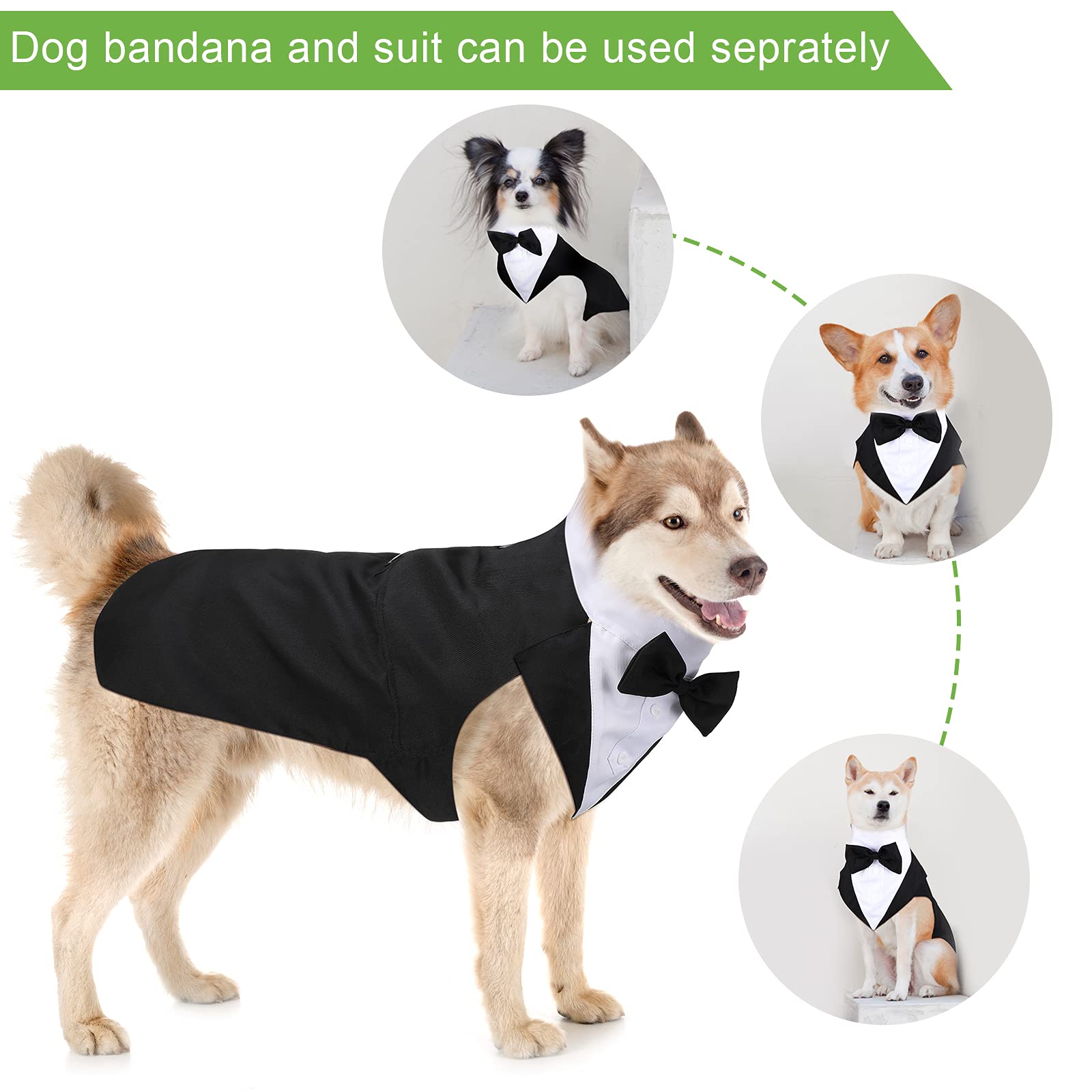 Weewooday dog bandana ensemble; adds stylish accent for festive occasions.