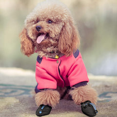 Weewooday anti-slip sole dog boots help prevent slips on slick surfaces