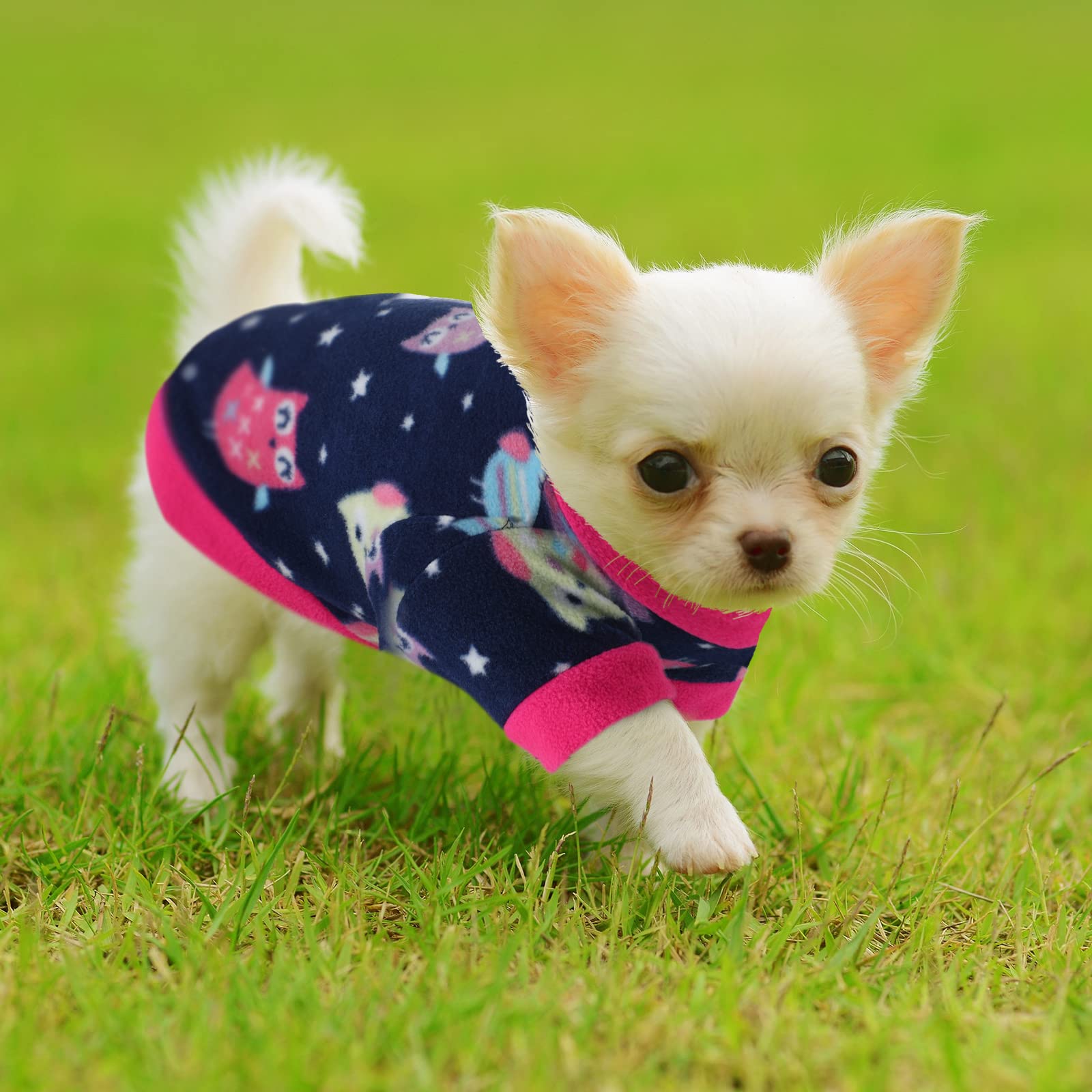 Weewooday dog sweater for daily wear promoting easy care and durability