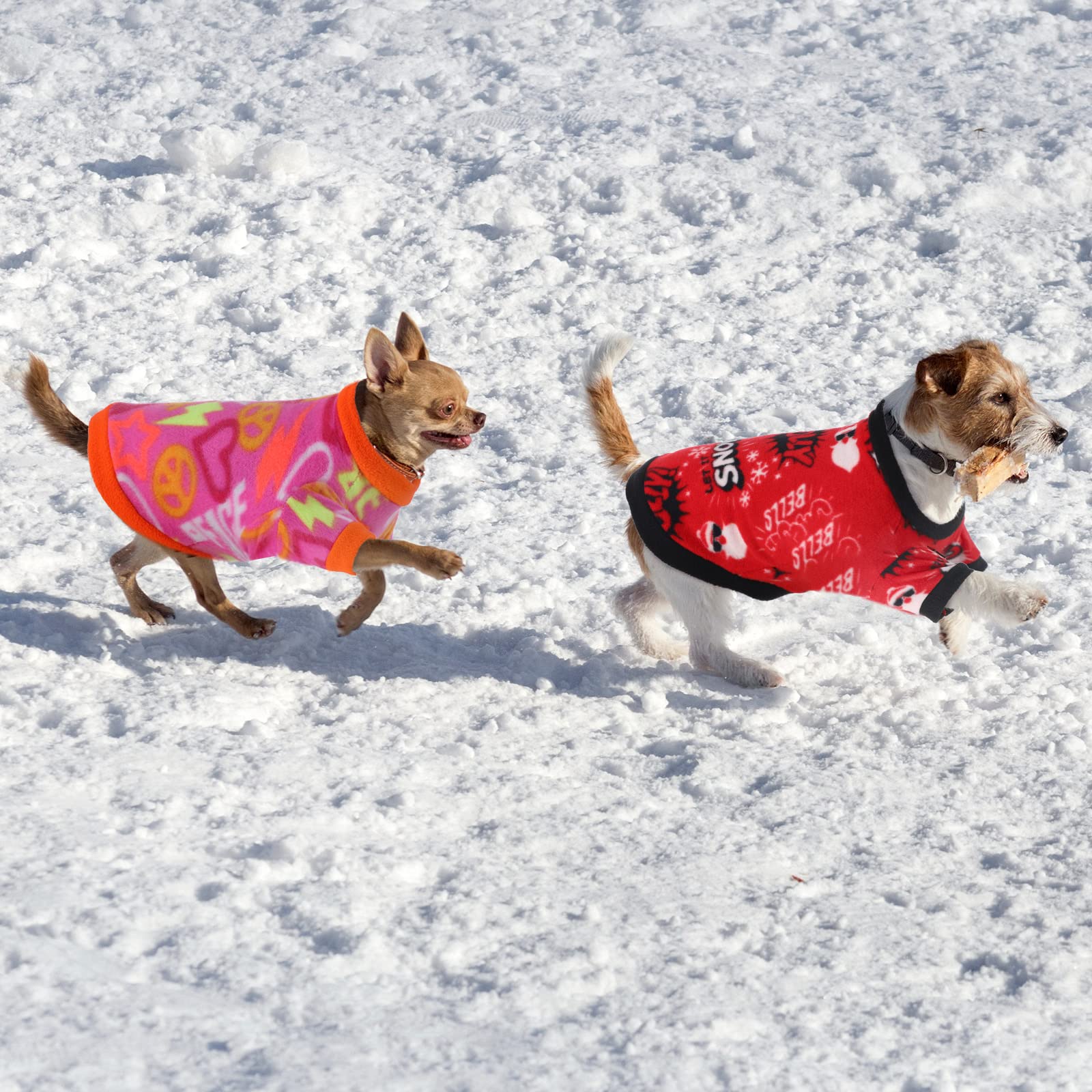Weewooday dog sweater easy-care set preserving color and shape after washing