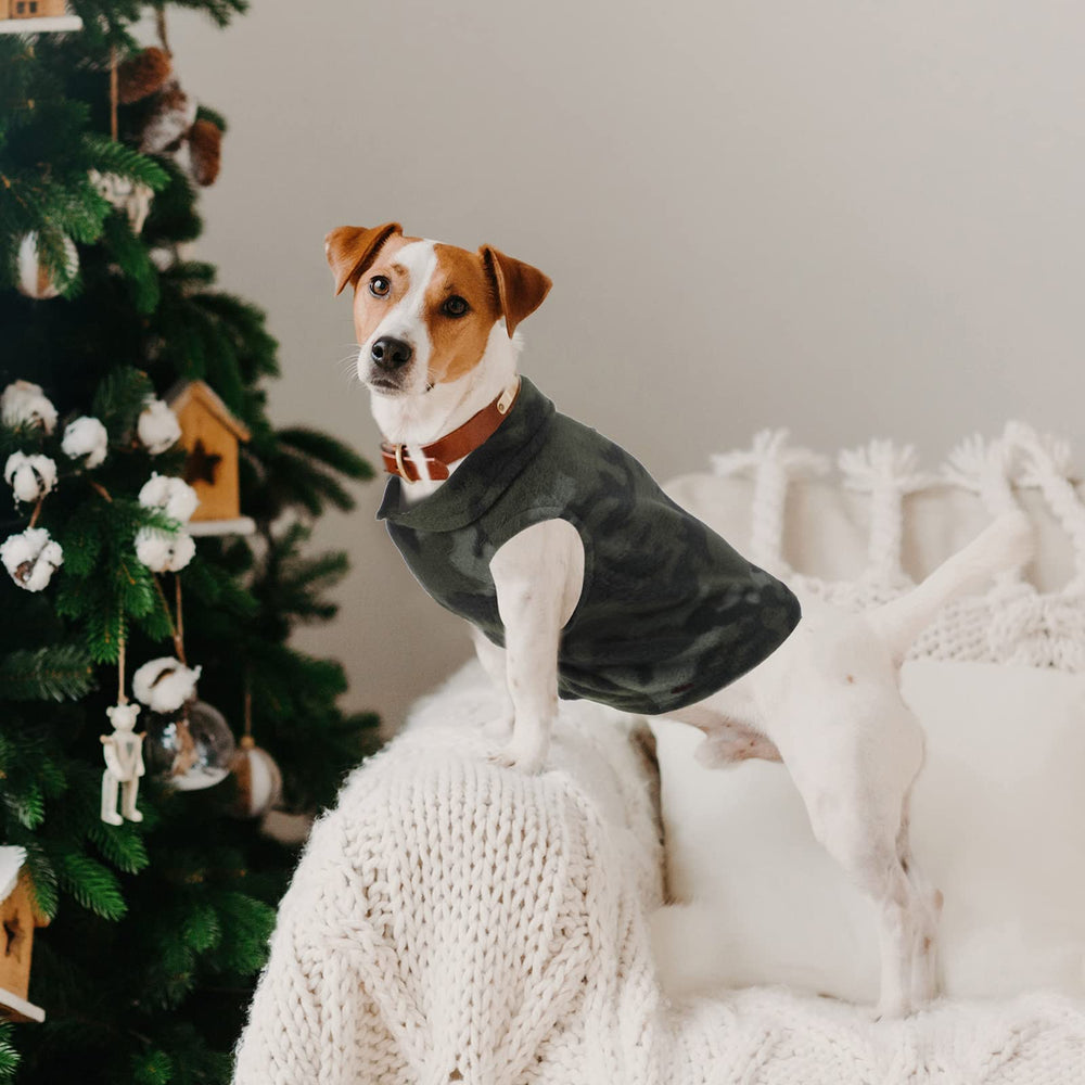 Weewooday dog sweater pullover-neckline – quick easy on/off for small pets.