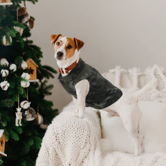 Weewooday dog sweater pullover-neckline – quick easy on/off for small pets.