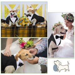 Weewooday dog tuxedo looks wedding-ready; perfect for photos and formal gatherings.