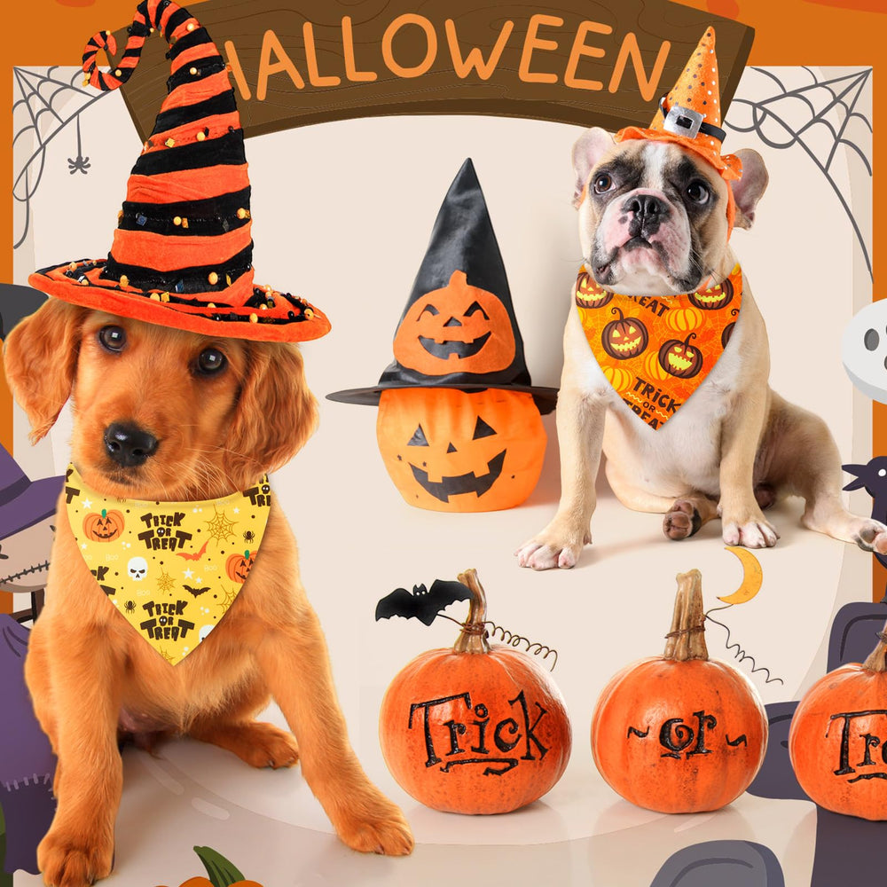 Weewooday Halloween bandana bat print creates bold party-ready looks.