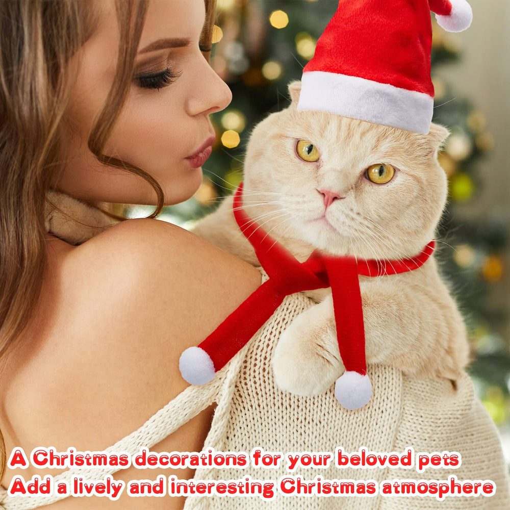 Weewooday 6-hats-6-scarfs pack—great value for festive pet outfits.