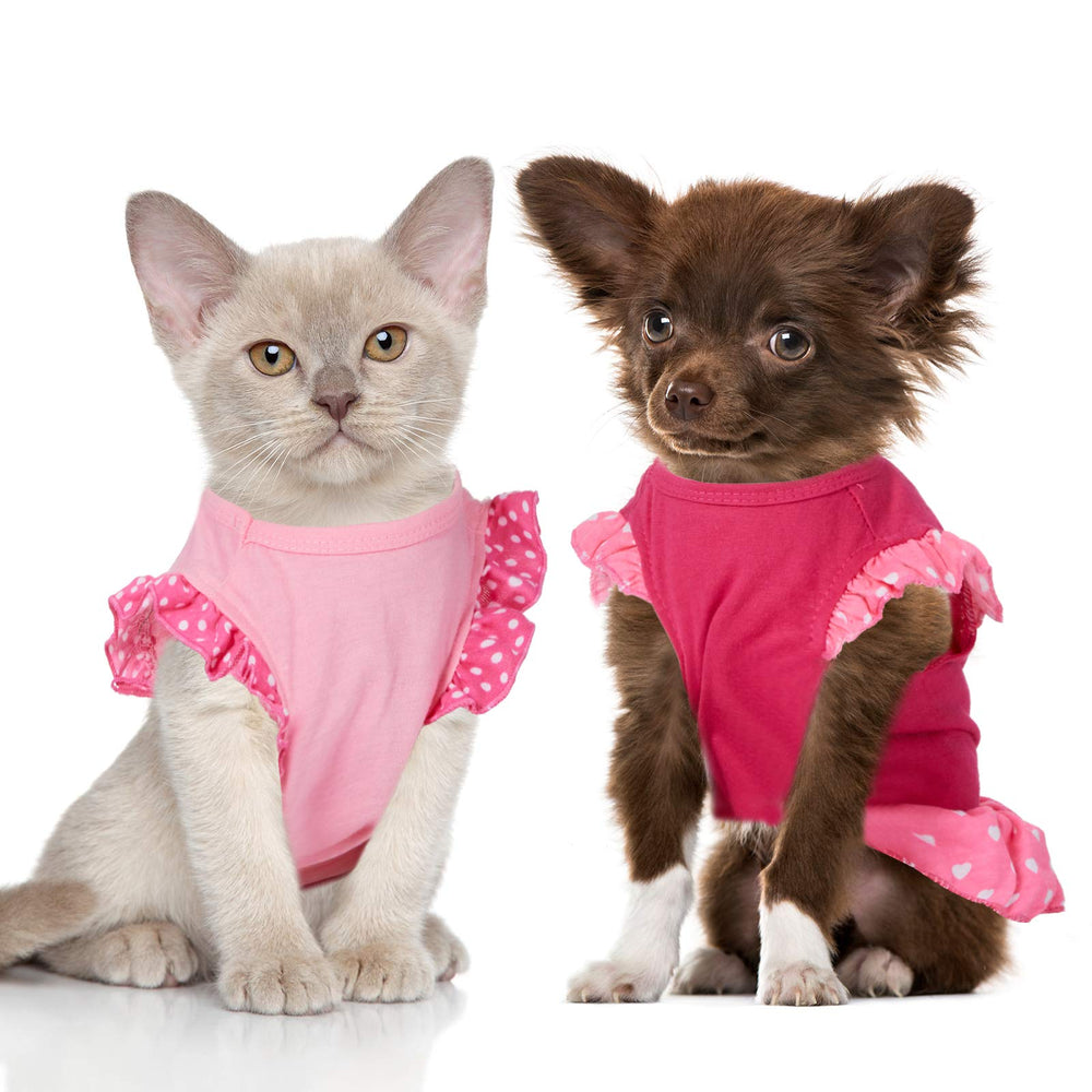Weewooday party-ready dress for pets, eye-catching elegance at events.