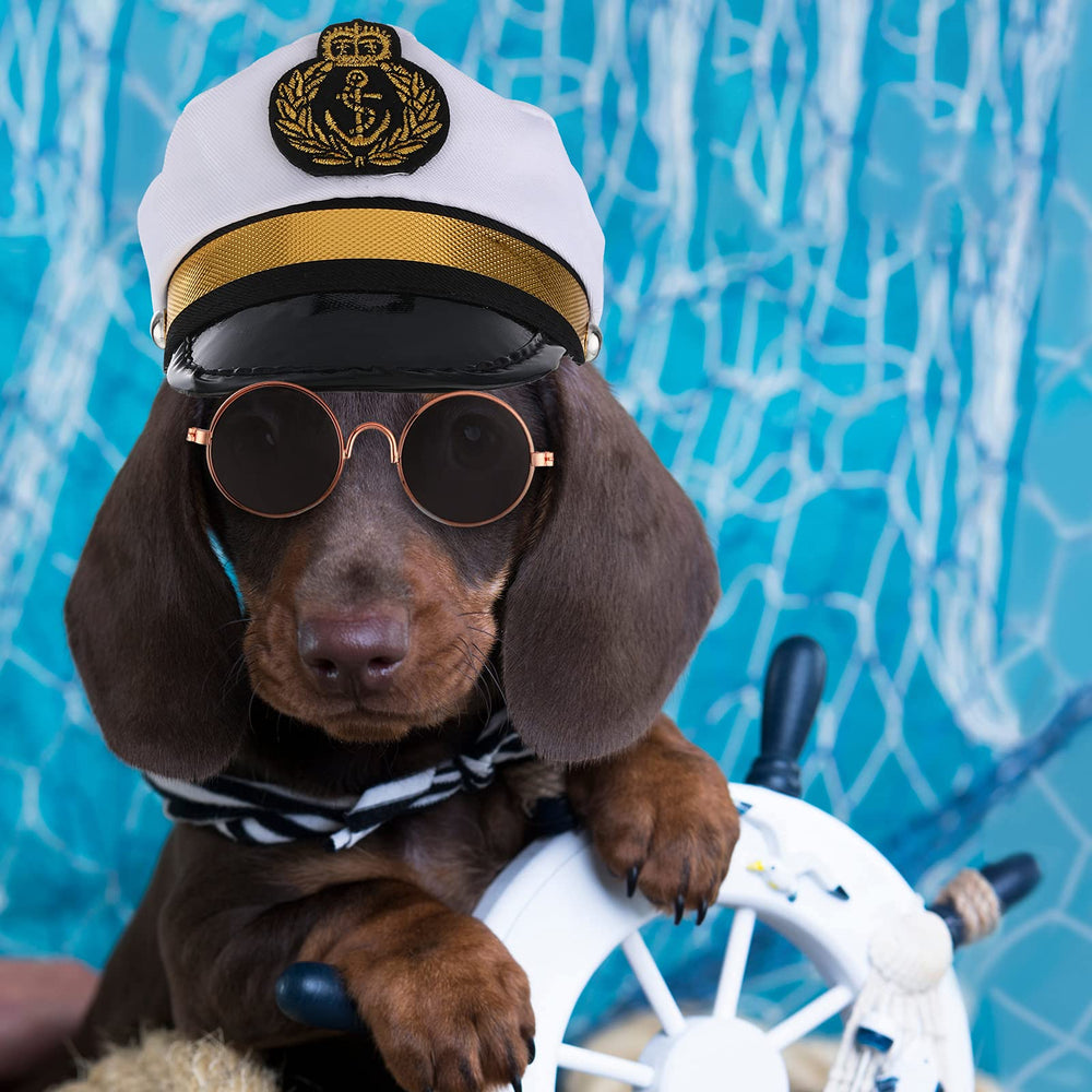 Weewooday pet cosplay photo props set for adorable scenes