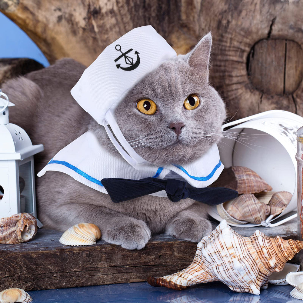 Weewooday pet cravat adds refined nautical detail