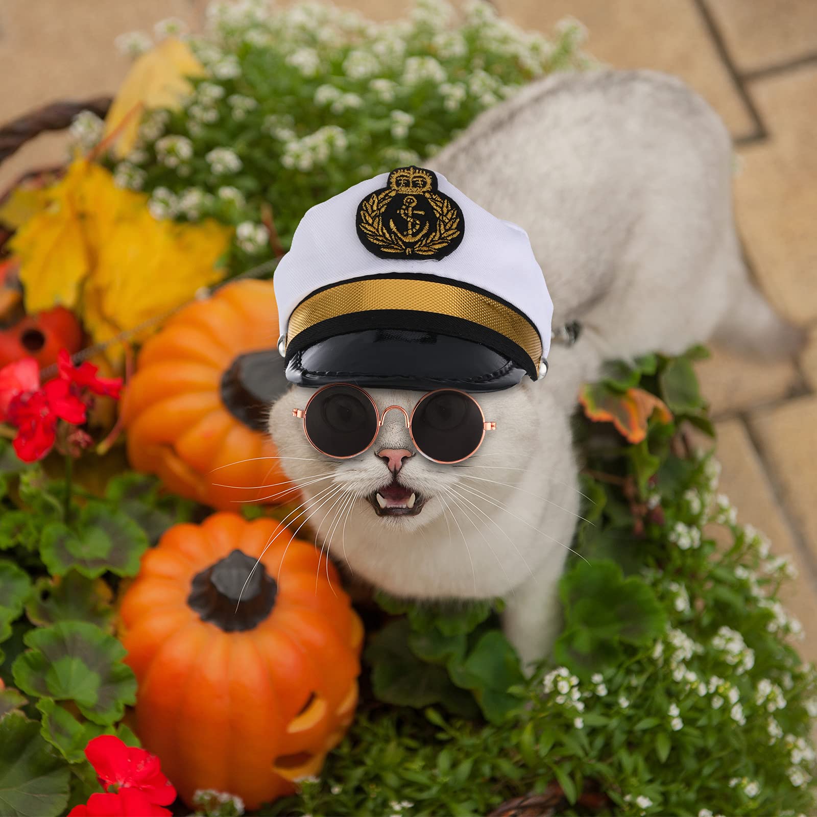 Weewooday pet neck tie completes the navy captain look