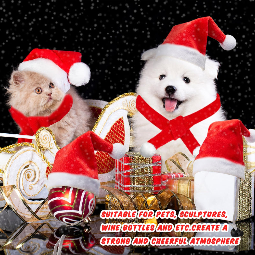 Weewooday pet Santa hat set on various small animals for playful holiday vibes.