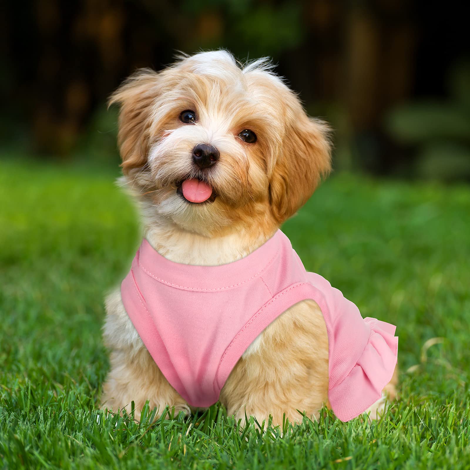 Weewooday six-piece dog dress pink, charming sundress for photos