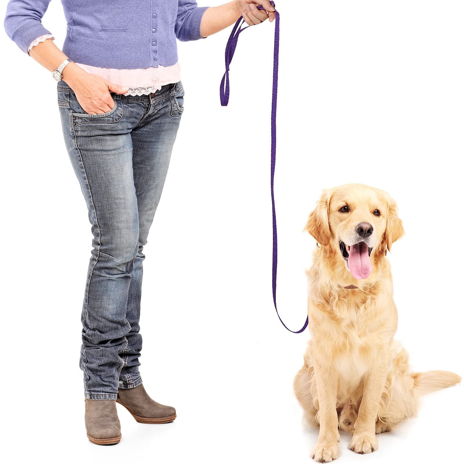 Weewooday slip rope leash 6ft green offers versatile use for shelters and training.