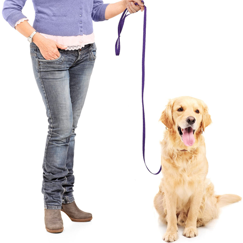 Weewooday slip rope leash 6ft green offers versatile use for shelters and training.
