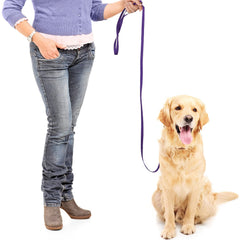 Weewooday slip rope leash 6ft green offers versatile use for shelters and training.