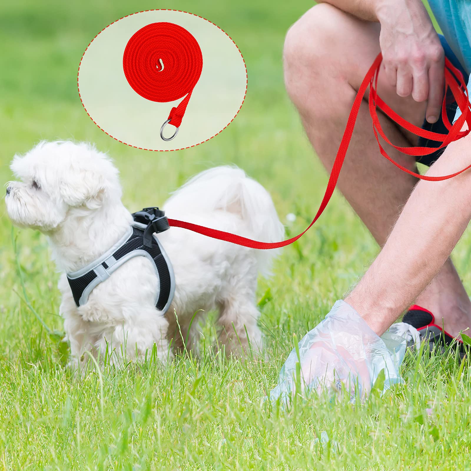 Weewooday slip rope leash 6ft purple ideal for groomers and trainers.