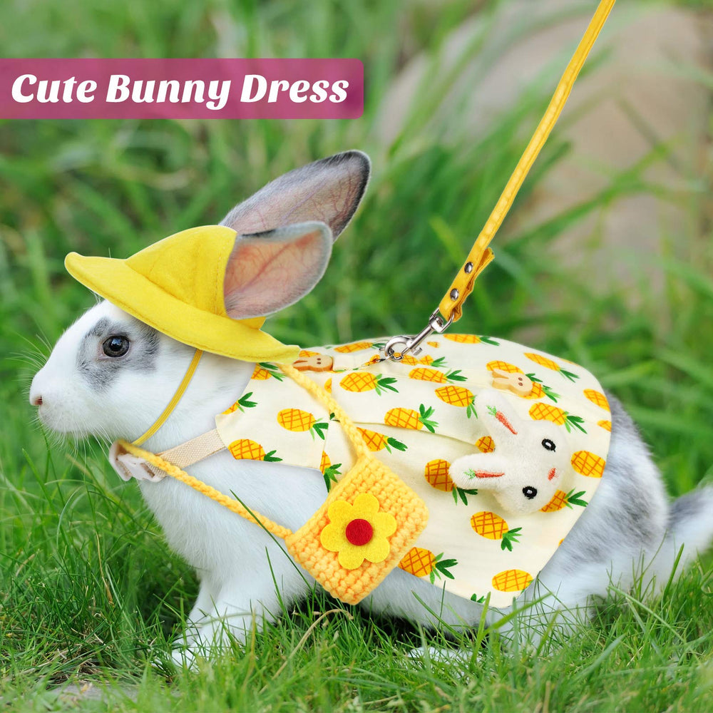 Weewooday small-pet hat accessory adds cute accent during outings
