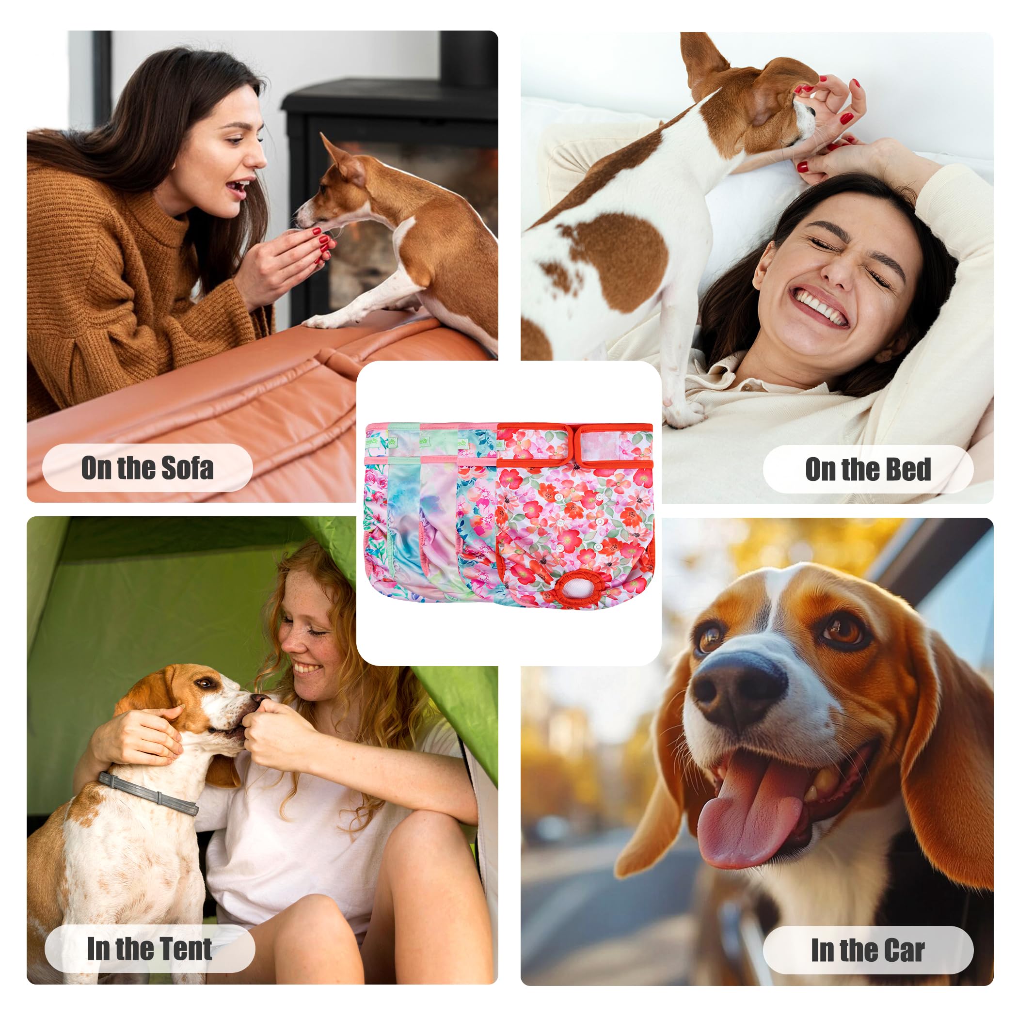 Wegreeco Blossoms dog diaper in-use suggests cleaner home and happier pet.