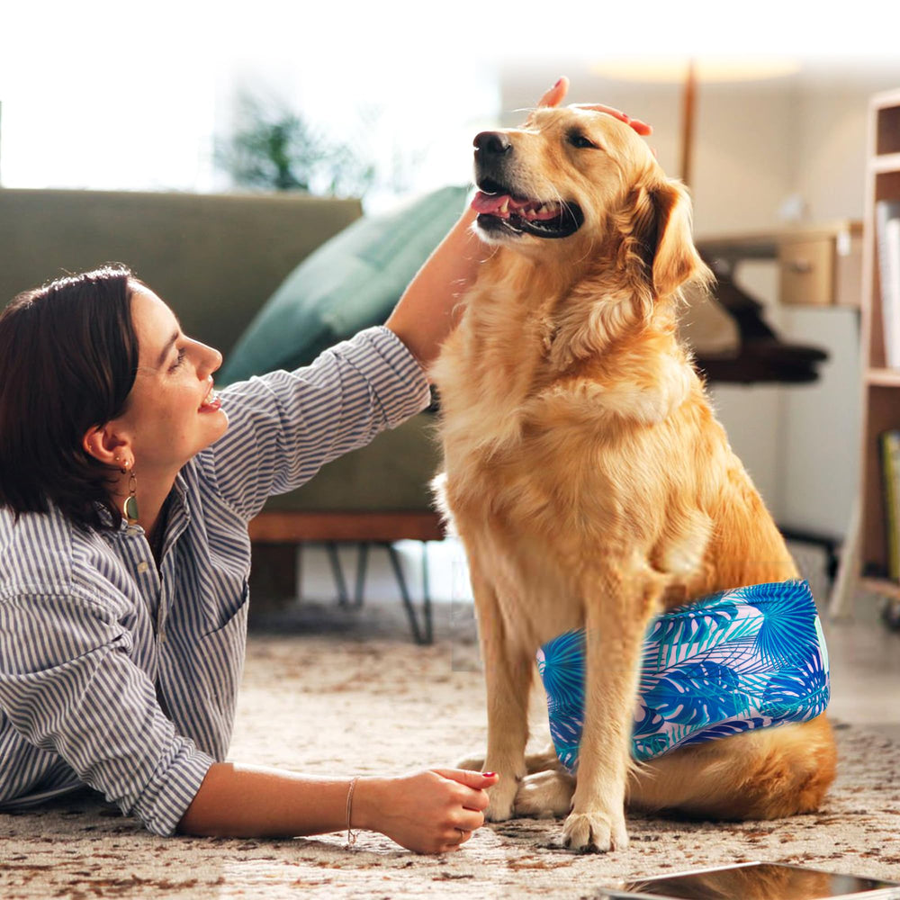 Wegreeco dog diapers five-pack layout emphasizing reusable option